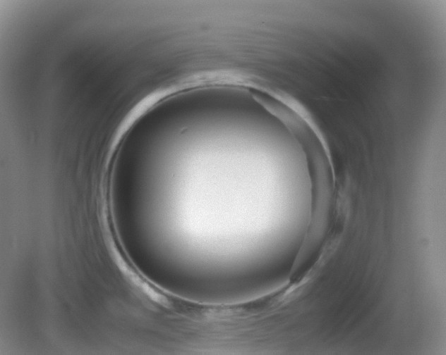 X0000083001389200702011443