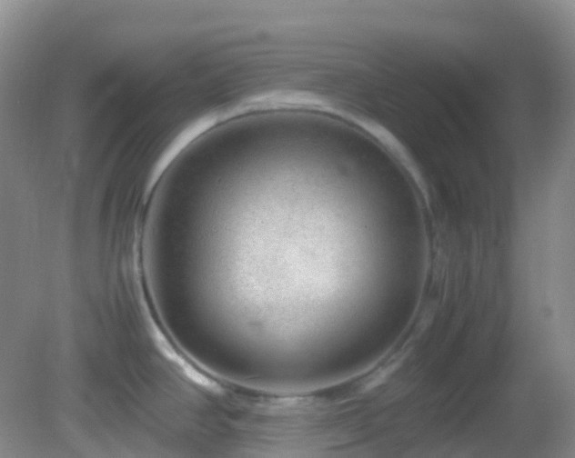 X0000083001390200702011443