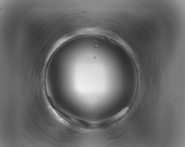 X0000083001392200702011443