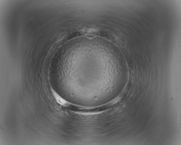 X0000083001393200702011443