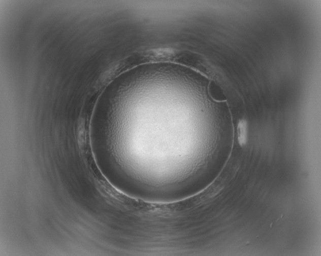 X0000083001395200702011443