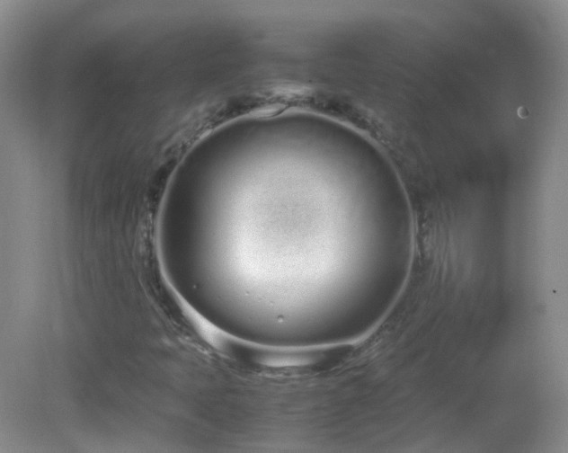 X0000083001397200702011443