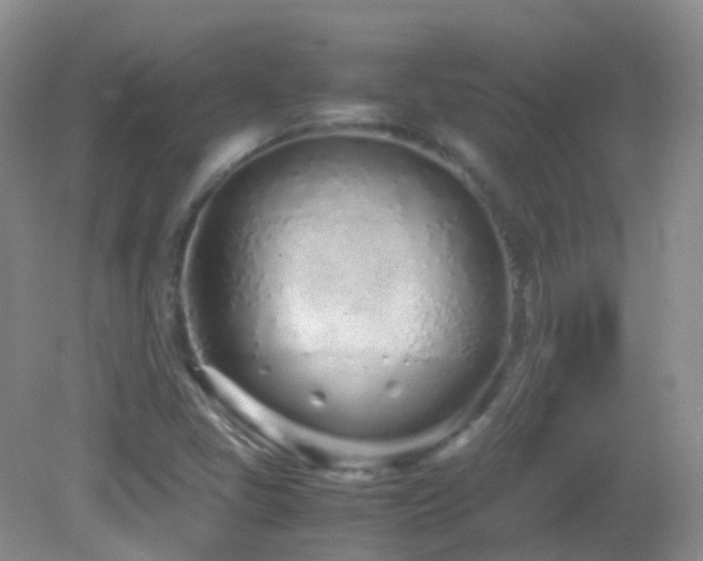 X0000083001405200702011443