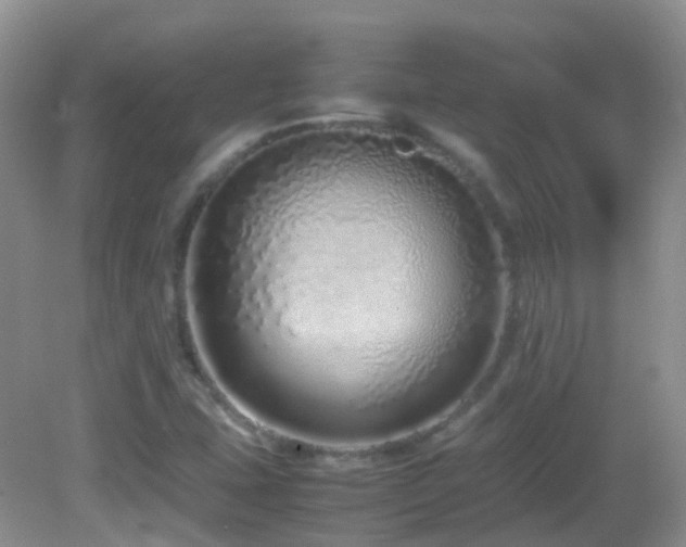 X0000083001407200702011443
