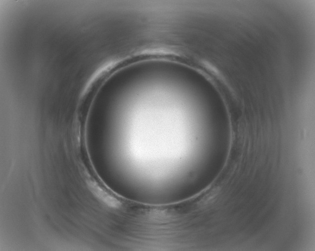 X0000083001408200702011443