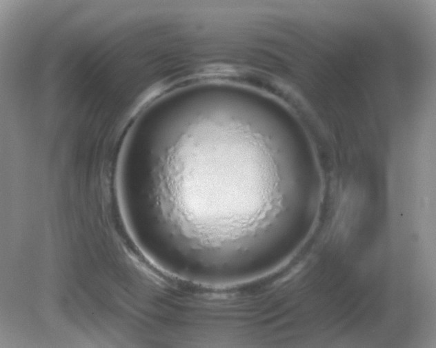 X0000083001409200702011443
