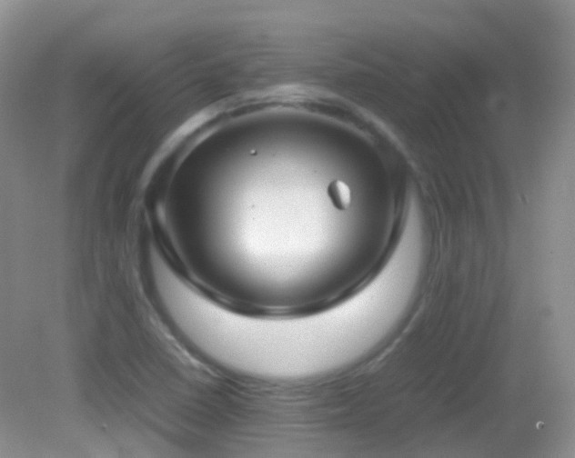 X0000083001410200702011443