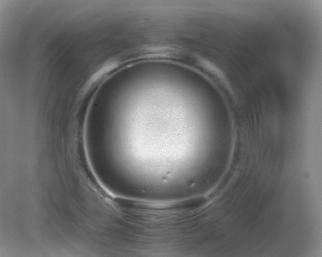X0000083001411200702011443