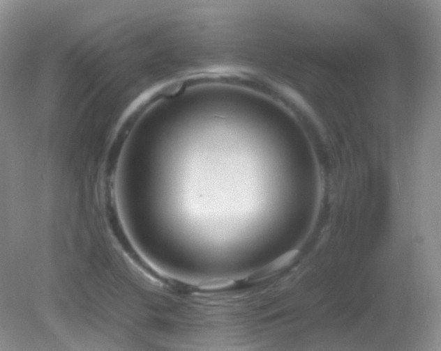 X0000083001412200702011443