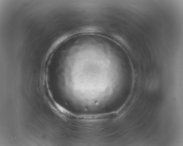 X0000083001413200702011443