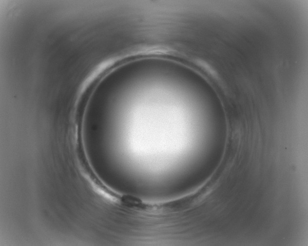 X0000083001414200702011443