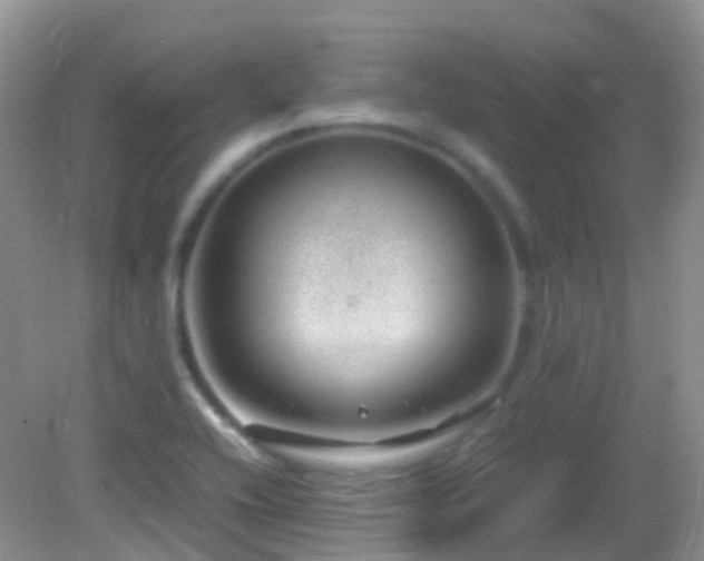 X0000083001416200702011443