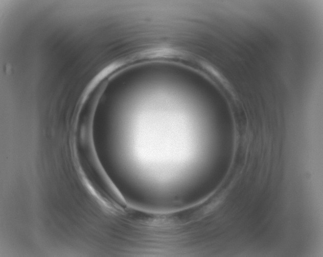 X0000083001418200702011443