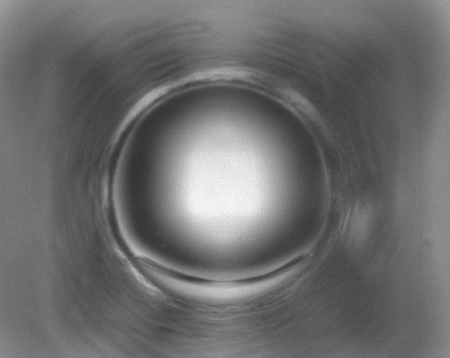 X0000083001420200702011443