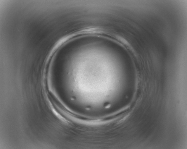 X0000083001421200702011443