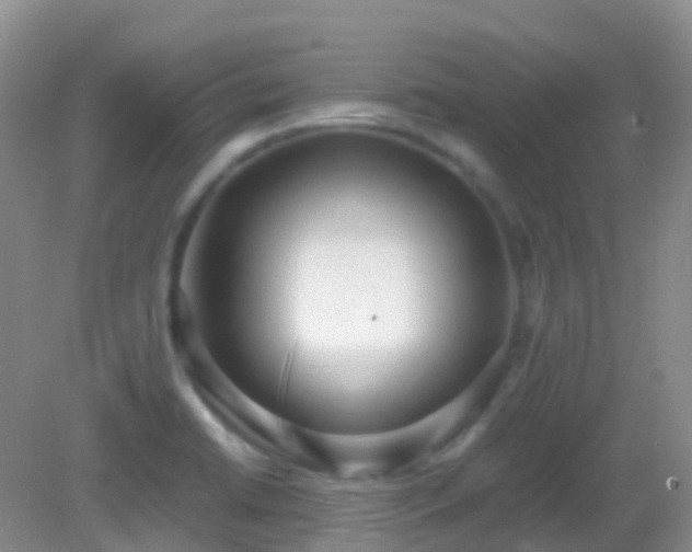 X0000083001422200702011443