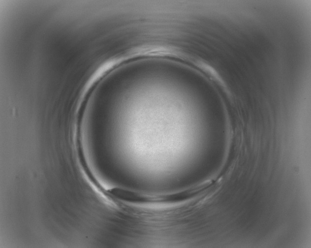 X0000083001424200702011443