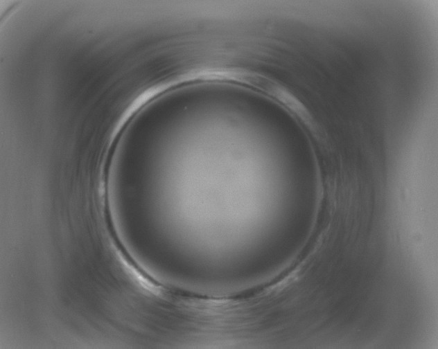 X0000083001428200702011443