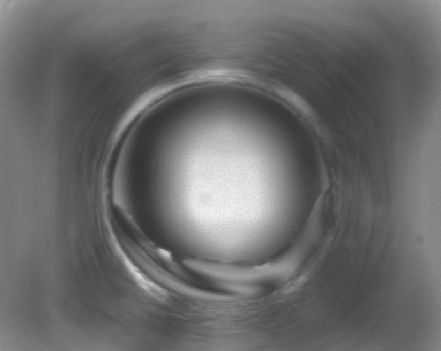 X0000083001430200702011443