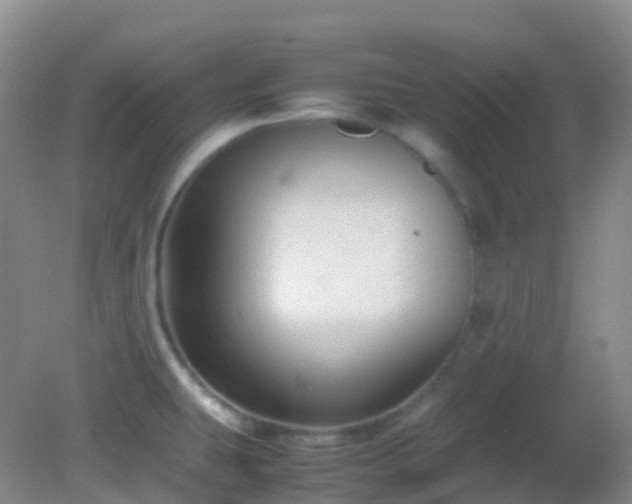 X0000083001431200702011443