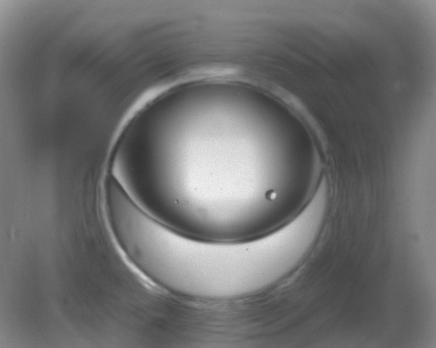 X0000083001432200702011443