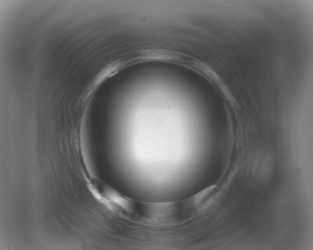 X0000083001433200702011443