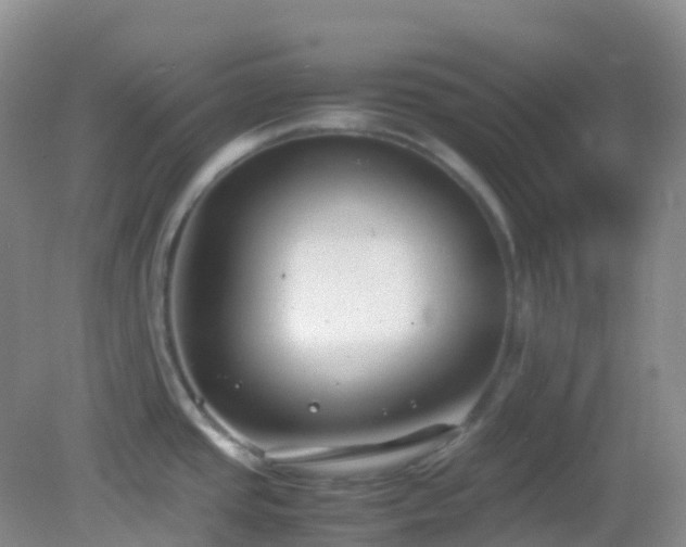 X0000083001437200702011443