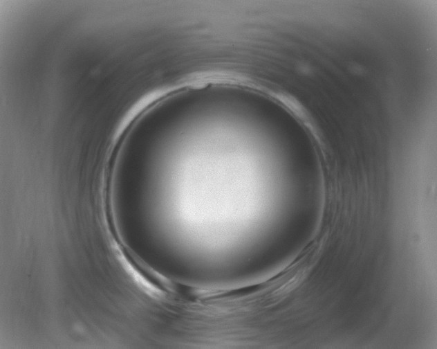 X0000083001438200702011443