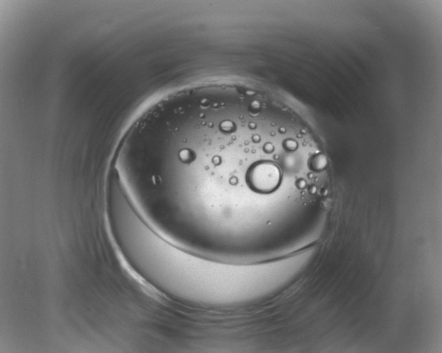 X0000083001439200702011443