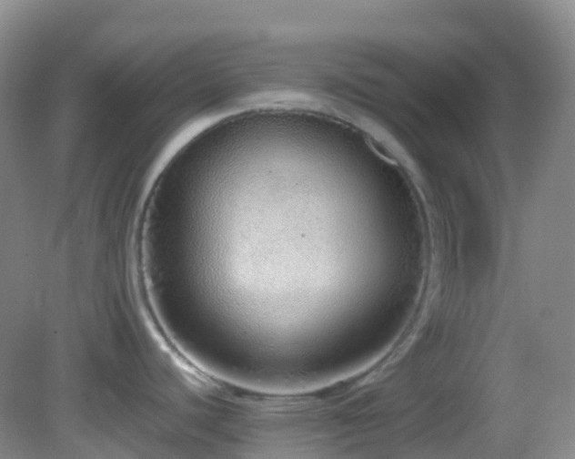 X0000083001440200702011443