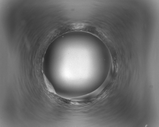 X0000083001441200702011442
