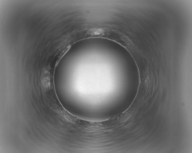 X0000083001442200702011442