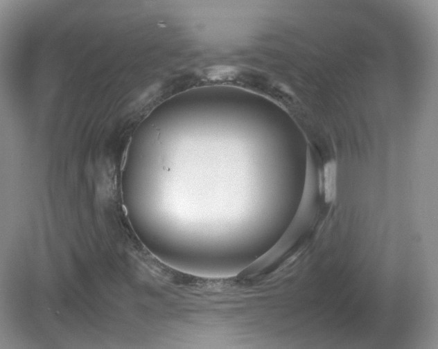 X0000083001443200702011442