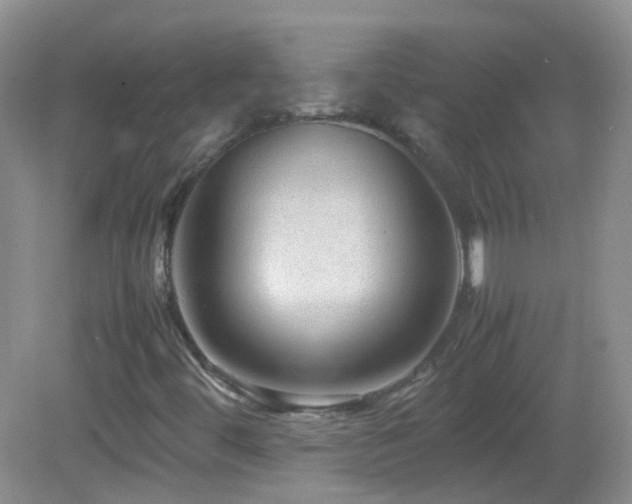 X0000083001444200702011442