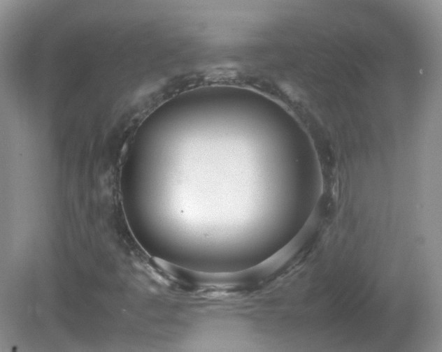 X0000083001445200702011442