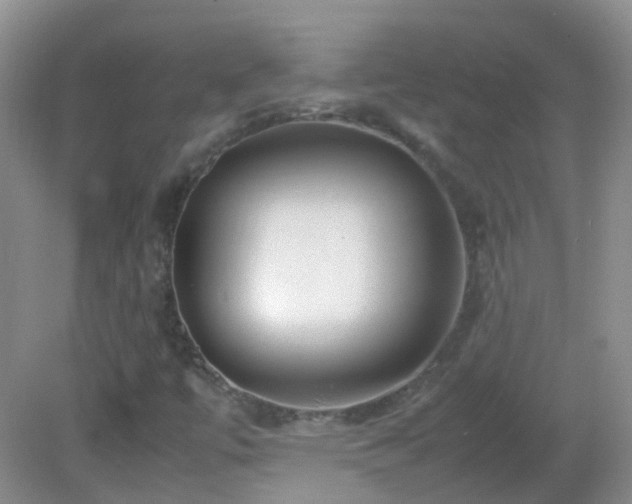 X0000083001447200702011442