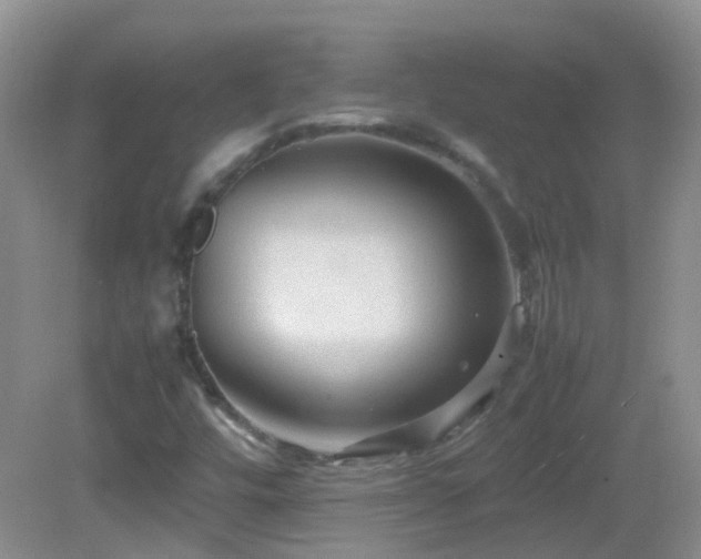 X0000083001448200702011442