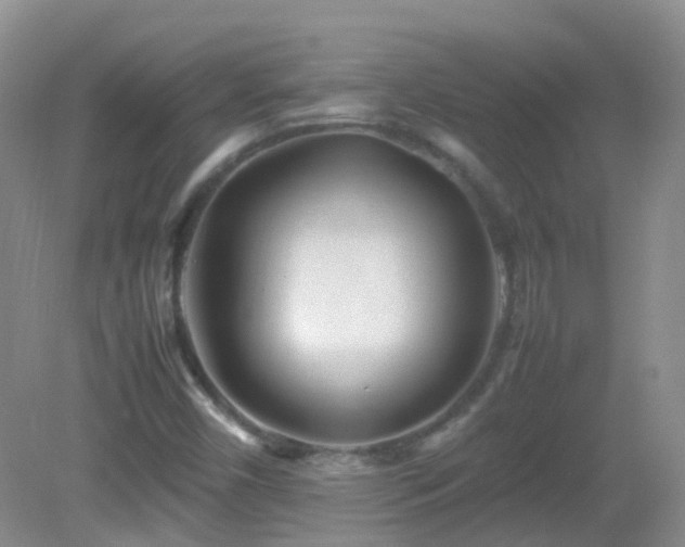 X0000083001450200702011442