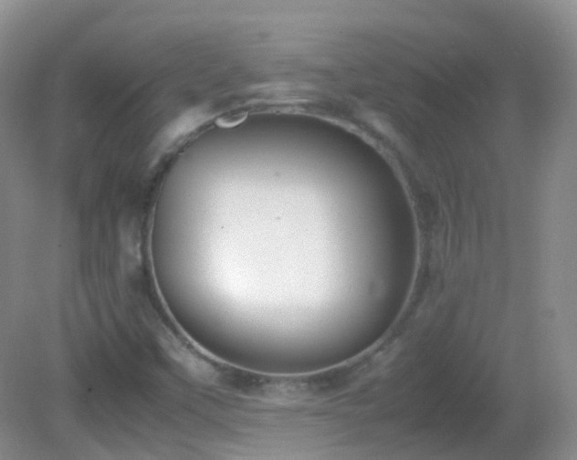 X0000083001451200702011442