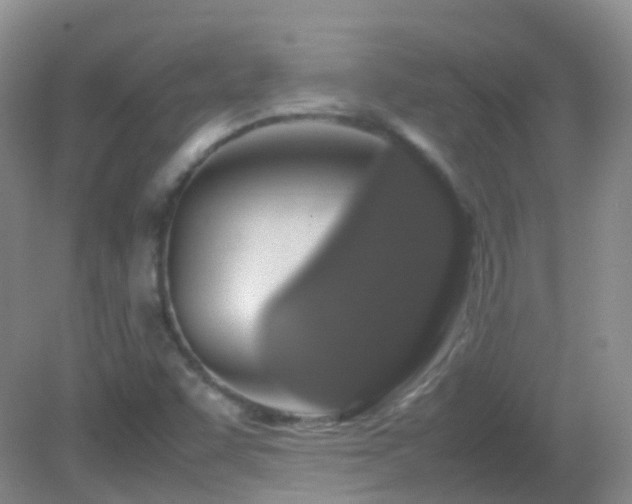 X0000083001455200702011442