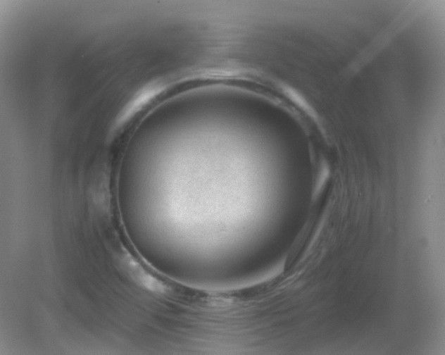 X0000083001456200702011442