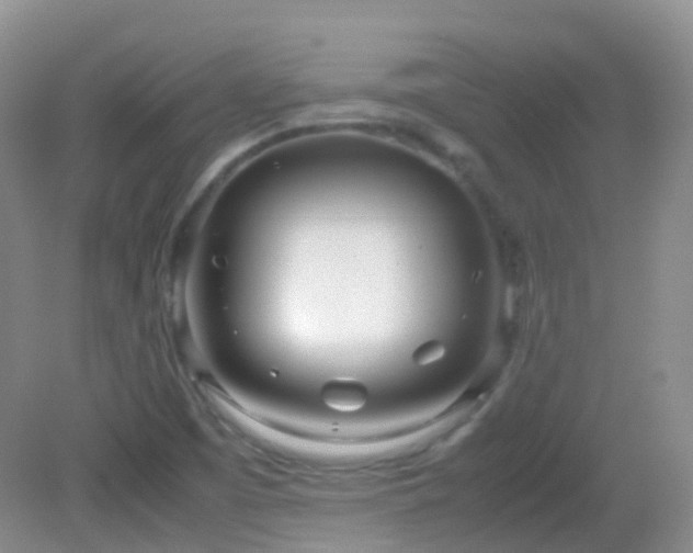 X0000083001457200702011442