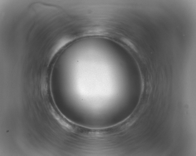 X0000083001458200702011442