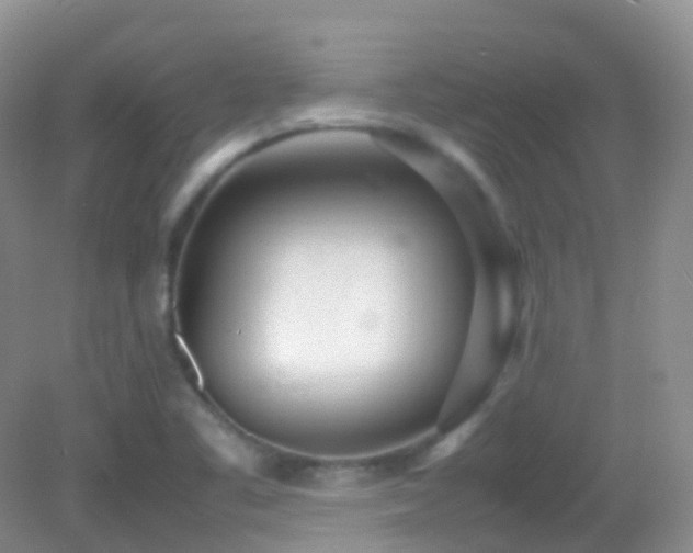 X0000083001461200702011442