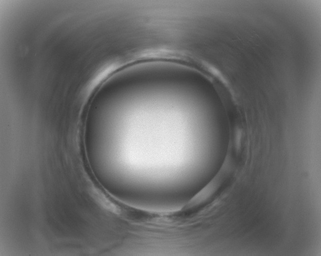 X0000083001463200702011442