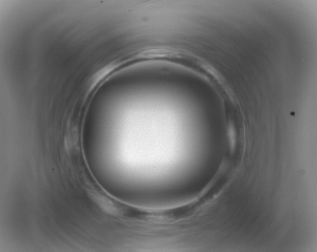 X0000083001465200702011442