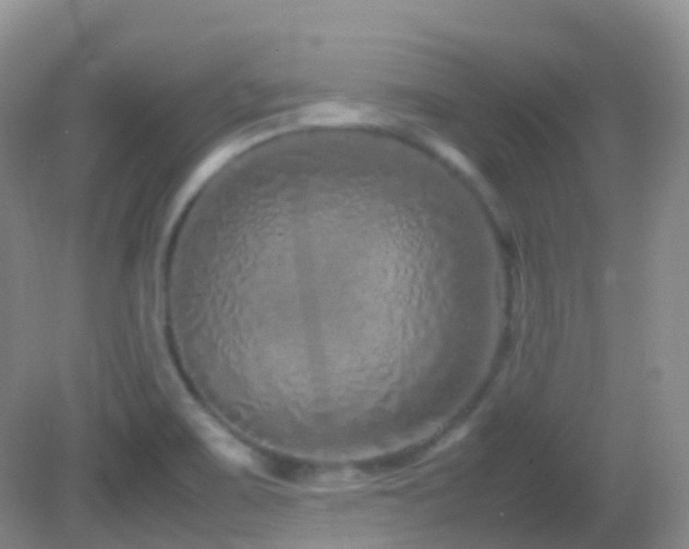 X0000083001467200702011442