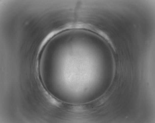 X0000083001472200702011442