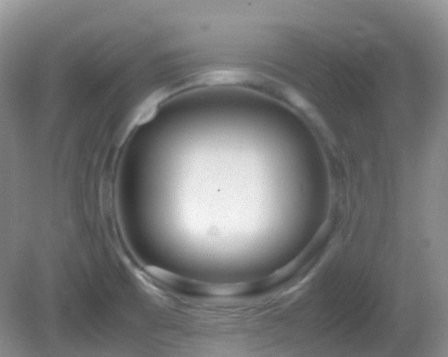 X0000083001473200702011442
