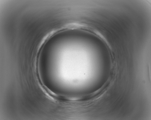 X0000083001477200702011442